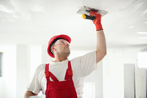 Best Drywall Removal and Disposal  in Douglass Hills, KY