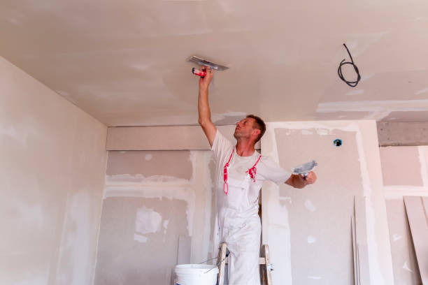 Best Drywall Installation  in Douglass Hills, KY